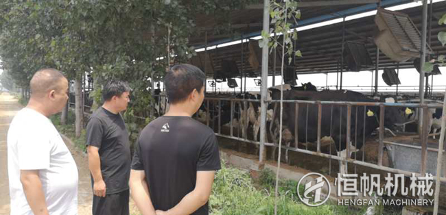鄭州恒帆機(jī)械為溫縣客戶實(shí)地規(guī)劃年產(chǎn)三萬噸牛糞有機(jī)肥生產(chǎn)線項(xiàng)目(圖1) 鐘經(jīng)理在客戶的帶領(lǐng)下參觀牛養(yǎng)殖場